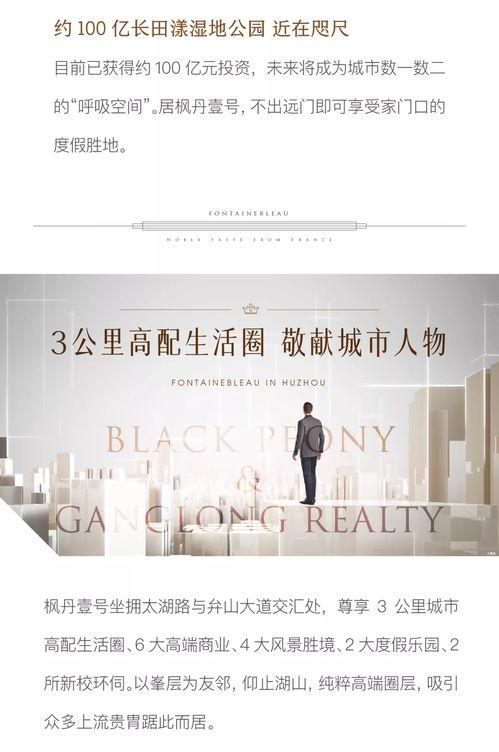 枫丹爆料最新新闻消息,揭秘神秘新闻背后的真相  第3张